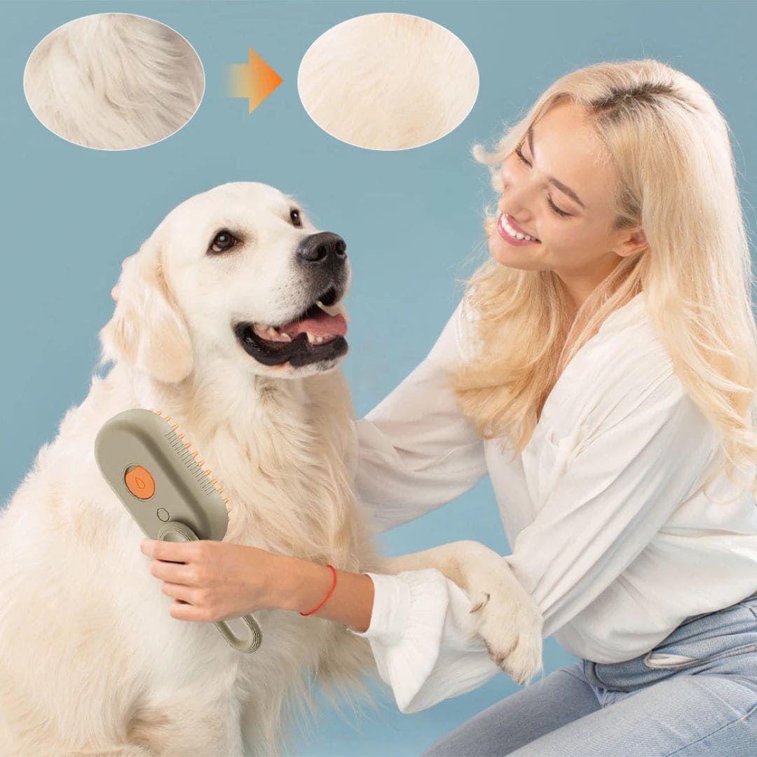 Dê Um Banho de Luxo ao Seu Pet Com a Escova Pet a Vapor