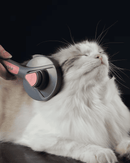 Escova removedora de pelos Pet