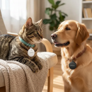 Smart Tag Pet — Golden Retriever e Persa